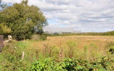 Eco Sustainable Solutions submits plans to expand Eco Park