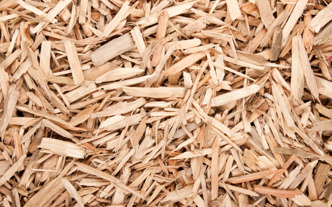 WRA renews call on biomass boiler fuel supply