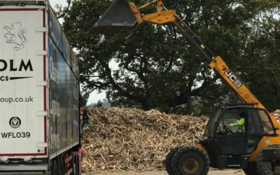 Waste Wood Sector Faces Lengthy Road Ahead to Recovery