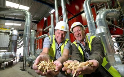 Member of the Month | Eco Sustainable Solutions