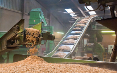 UK Waste wood market goes from strength to strength exceeding 4 million tonnes of processed wood