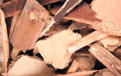 Hear about the C&D industry’s role in our waste wood classification project